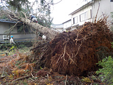 災害復旧(台風)